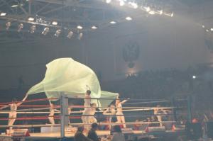 Уфимские художницы украсили чемпионат России по боксу 2011 г.